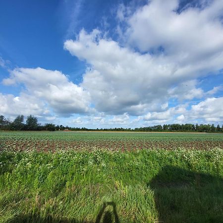 Huisje Mina Vrouwenpolder Esterno foto