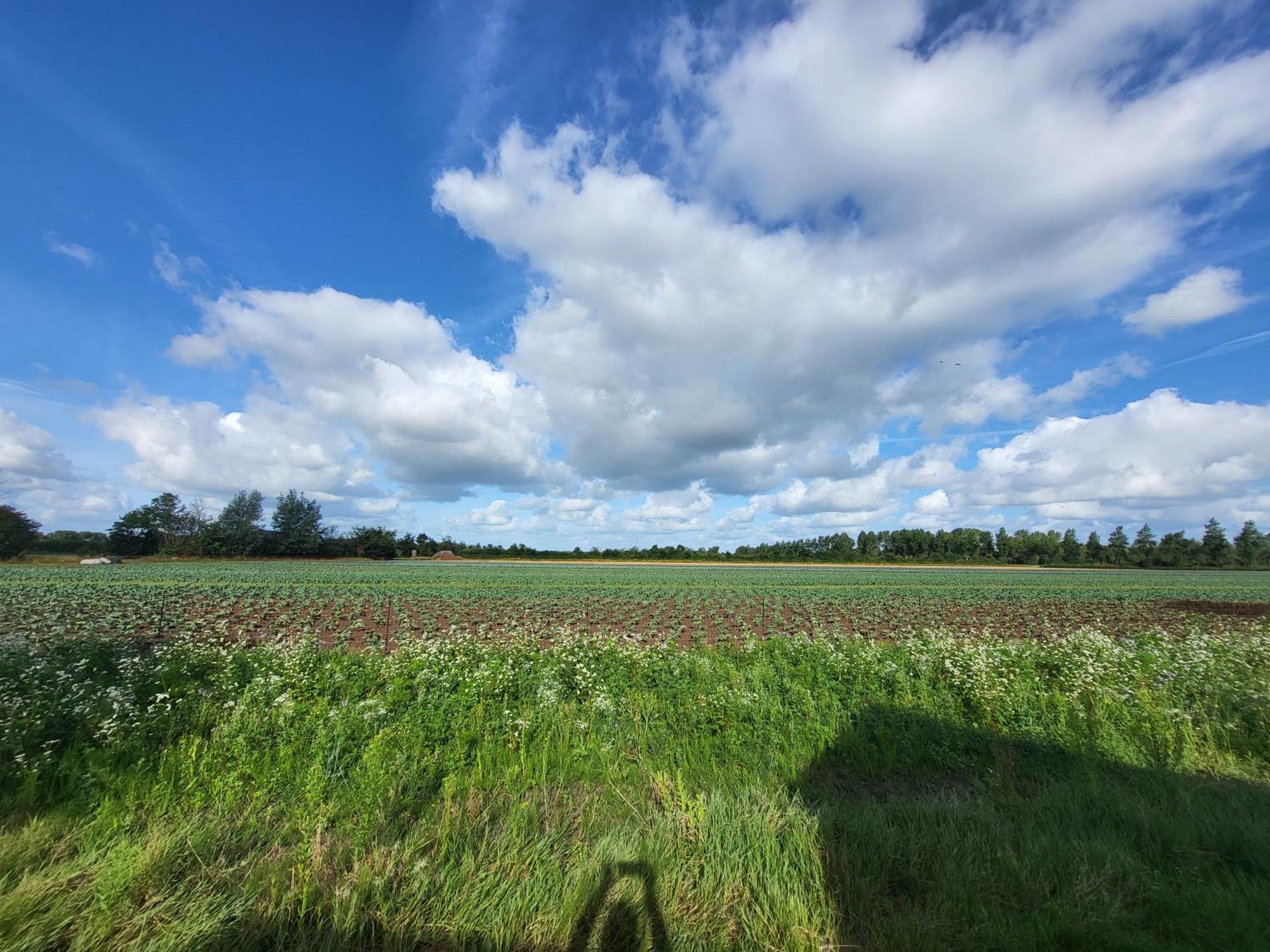 Huisje Mina Vrouwenpolder Esterno foto